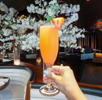 National Mimosa Day at STK